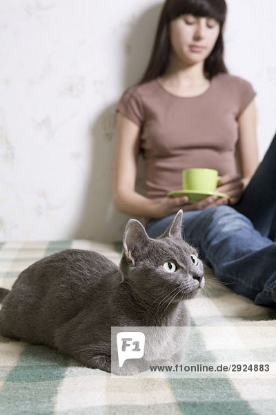 Eine Katze auf einem Bett liegend mit einer jungen Frau im Hintergrund