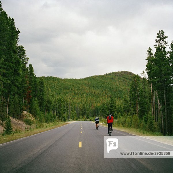 Rear view of two people cycling on a road  Rocky Mountain National Park  Colorado  USA