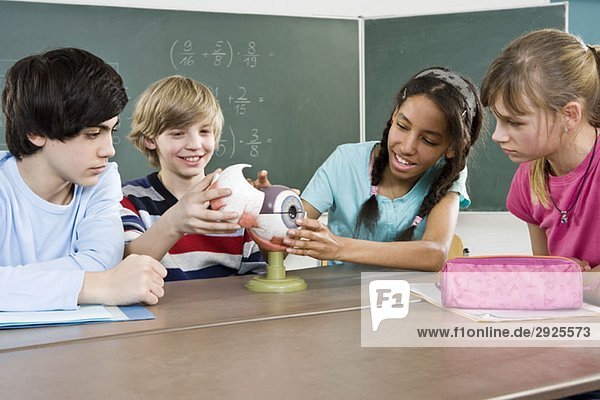 Schüler betrachten ein Modell eines menschlichen Auges