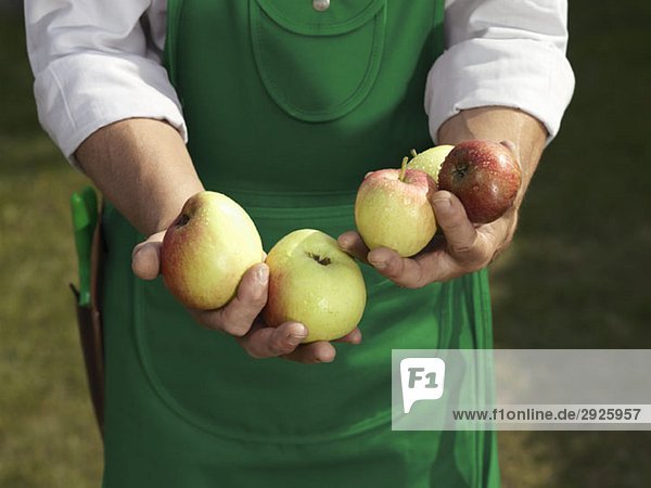 Midsection of a man with a handful of apples