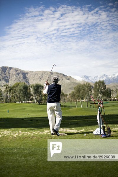 Rear view of a man playing golf  Palm Springs  California  USA