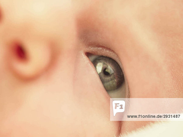 Baby's eye in close up