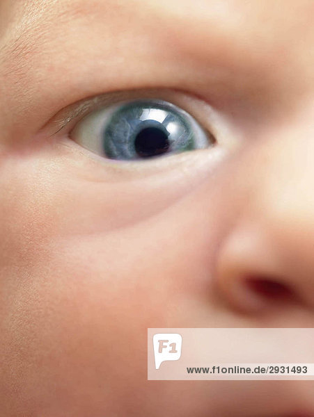 Baby eye in close up