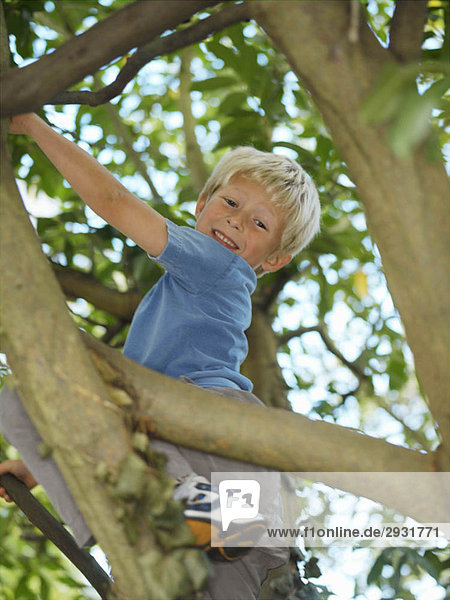 Junge  7 spielend im Baum
