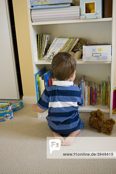 Zwei Jahre alten Jungen auf der Suche nach einem Buch  Milton (Ontario)
