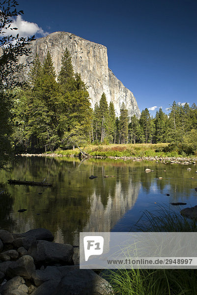 Yosemite-Nationalpark  El Capitan Reflexion in Merced River  Kalifornien