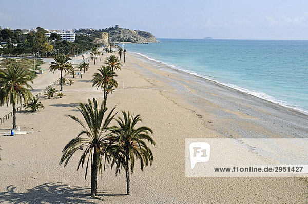 Strand  El Paradiso  Paradiso  Vila Joiosa  Villajoyosa  Alicante  Costa Blanca  Spanien
