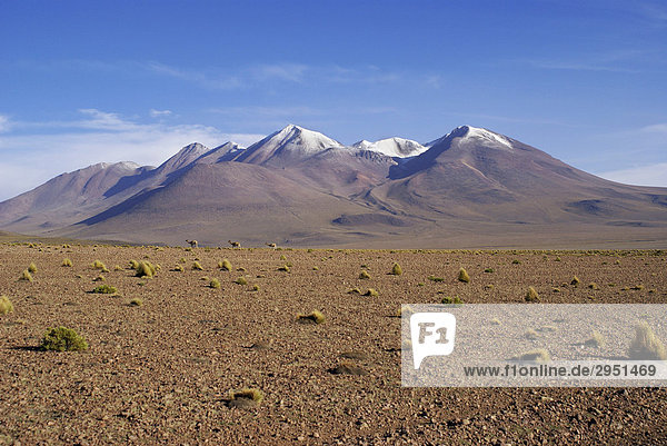 Landscape with Vulcano in the Uyuni Highlands  Bolivia