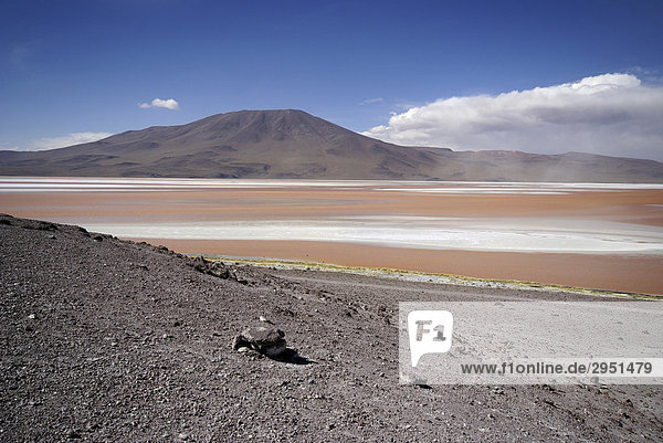 Laguna Colorada and vulcan in the Uyuni Highlands  Bolivia