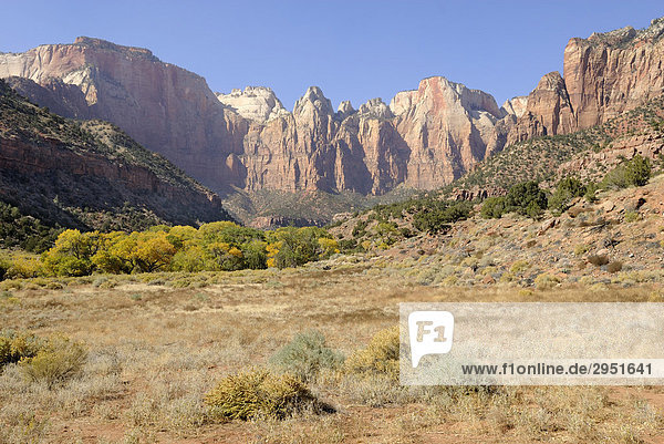 Felsformation  Towers of the Virgin  Zion-Nationalpark  Utah  USA
