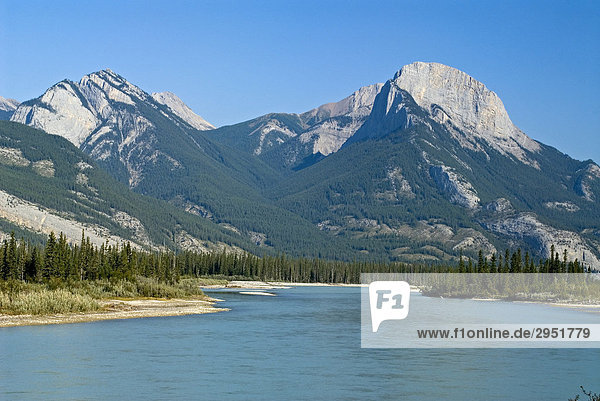 Mountains Roche ‡ Bosche and Roche Ronde towering over Athabasca River  Athabasca Valley  Jasper National Park  Alberta  Canada