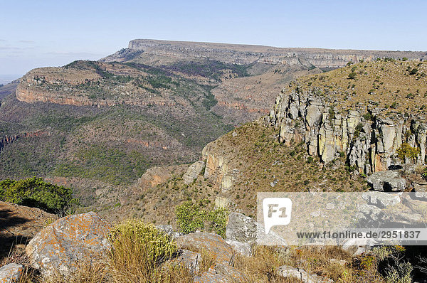 Blyde River Canyon  Mpumalanga  South Africa  Africa