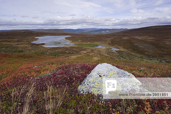 Herbstlandschaft mit See  Norefjell  Provinz Buskerud  Buskerud Fylke  Norwegen  Skandinavien  Europa