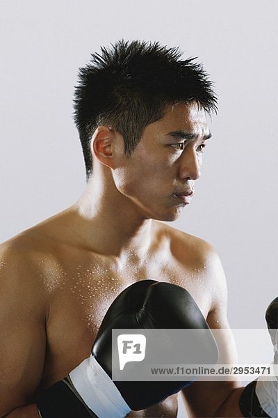 Japanischer Boxer tragen von Handschuhen und Schwitzen
