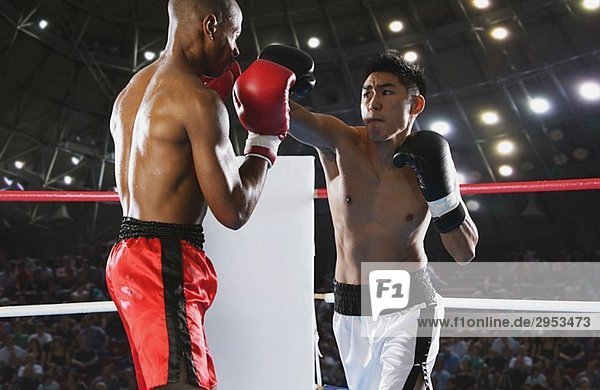 Zwei Boxer im Boxring kämpfen