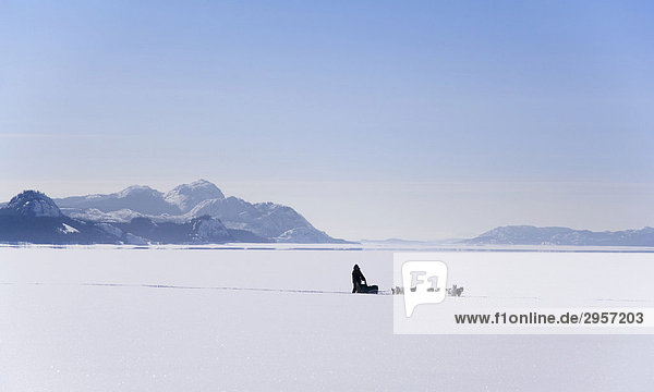 Einsamer Schlittenfahrer mit Schlittenhunden  auf dem gefrorenen See Lake Laberge  Yukon-Territorium  Kanada  Nord Amerika