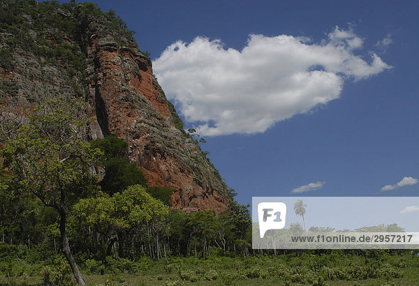 Detailansicht des Cerro Memby  auffälliger Monolith  Concepcion  Paraguay  Südamerika