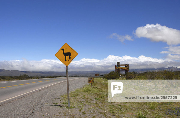 Lama-Warnschild auf einsamer Straße vor blauem Himmel in den Hochanden  Nationalpark Las Cordones  Provinz Salta  Anden  Argentinien  Südamerika