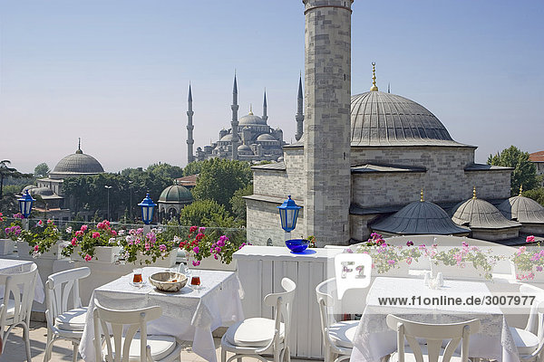 10855977  Türkei  Juni 2008  Istanbul City  Firuz
