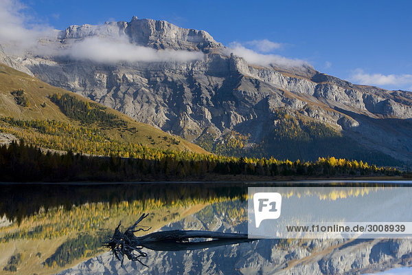 Lac de Derborence  Switzerland  Canton of Valais  lake  mountain lake  reflection  mountain  mountains  alps  alpine  landscape  scenery  wood  forest  clouds  autumn  fall  root  trunk