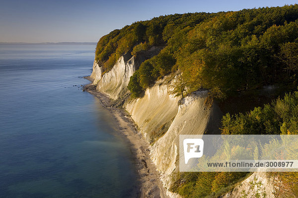 Felsbrocken Landschaftlich schön landschaftlich reizvoll Landschaft Küste Wald Meer Holz Herbst Ostsee Baltisches Meer Deutschland Nationalpark Jasmund