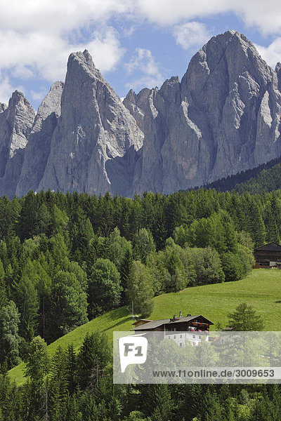 Bauernhöfe und Bergspitzen der Geisler Gruppe  Villnößtal  Südtirol  Italien
