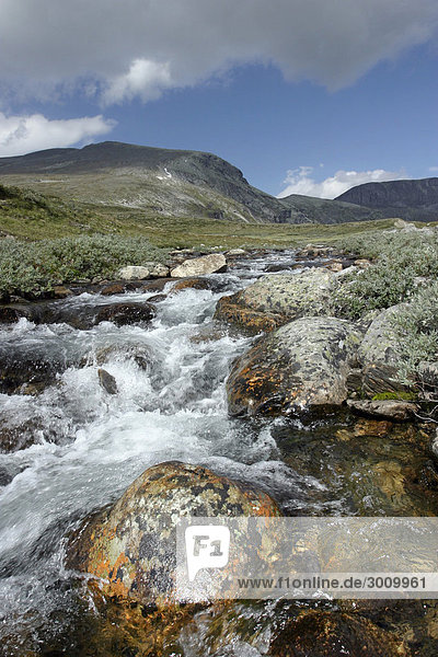 Stroplsjoedalen-Tal  Dovrefjell Nationalpark  Norwegen  Skandinavien  Nordeuropa