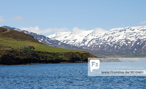Headline: Rocky coast and snow-covered mountains in North Iceland  Grenivik  Iceland