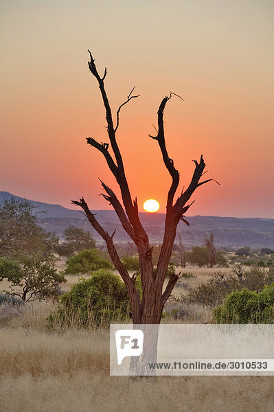 Sonnenuntergang auf der Westseite des Brandbergs  Namibia  Afrika
