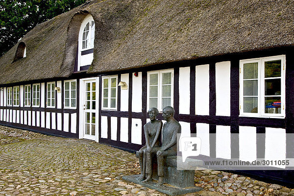 Altes romantische Bauernhaus mit Reetdach  Dänemark