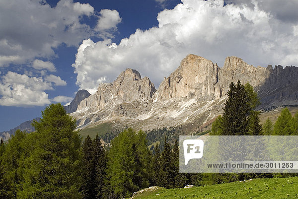 Rosengarten-Gruppe  Dolomiten  Südtirol  Italien  Europa
