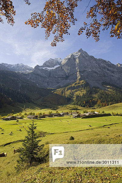 Eng-Alm  dahinter Spritzkarspitze  Karwendel-Gebirge  Tirol  Österreich  Europa