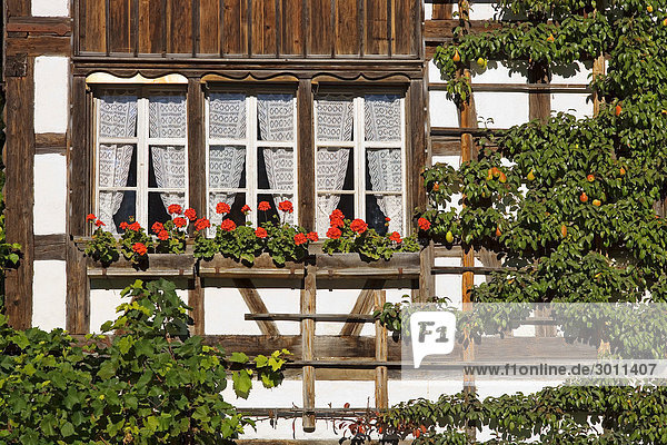 Fenster  Fachwerkhaus von 1780  Freilichtmuseum Ballenberg  Brienz  Schweiz  Europa