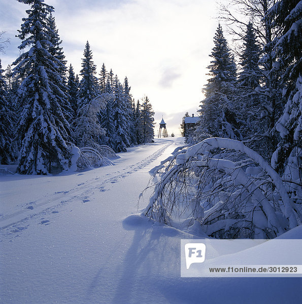 Schnee Fernverkehrsstraße Wald Ar