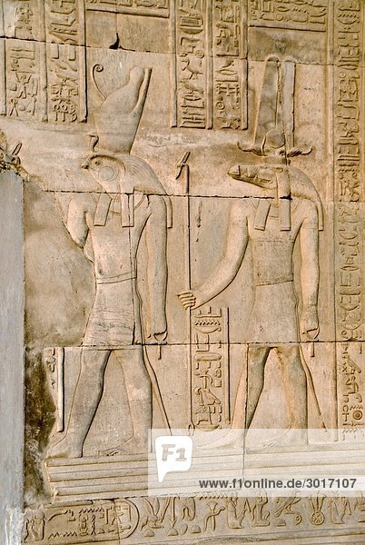 Relief an der Wand des Tempels von Kom Ombo  Ägypten  Close-up