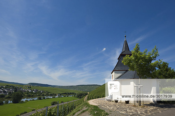 Laurentiuskapelle am Moselufer bei Trittenheim  Rheinland-Pfalz  Deutschland