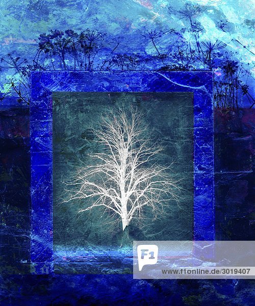 Baum in blauem Rahmen