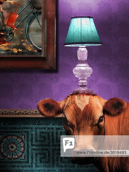 Kuh im Wohnzimmer mit Lampe auf dem Kopf