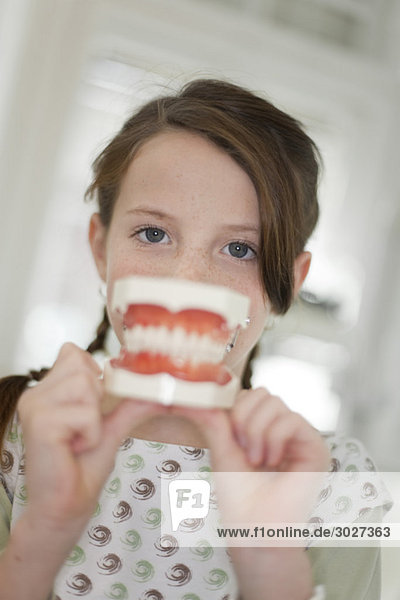 Mädchen (8-9) hält Zahnmodell  Portrait