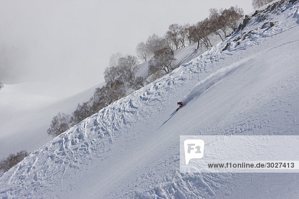 India  Kashmir  Gulmarg  Man skiing downhill