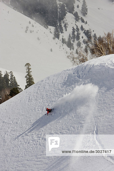 India  Kashmir  Gulmarg  Man skiing downhill  carving a turn