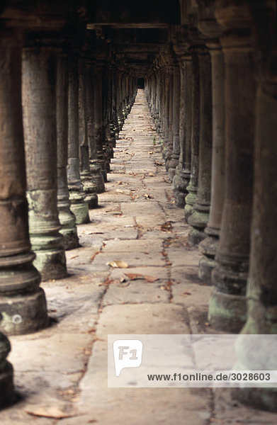 Cambodia  Siem Reap  Angkor  Baphuon Temple  Colonnades