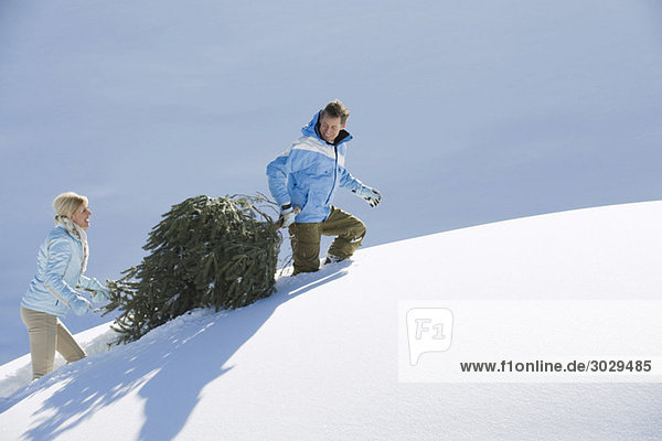 Italien  Südtirol  Seiseralm  Paar mit Weihnachtsbaum im Schnee