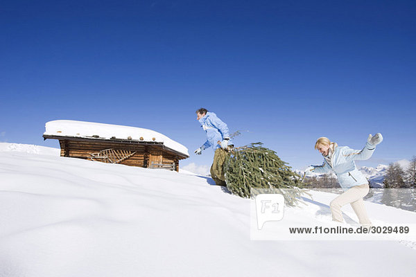 Italien  Südtirol  Seiseralm  Paar mit Weihnachtsbaum im Schnee