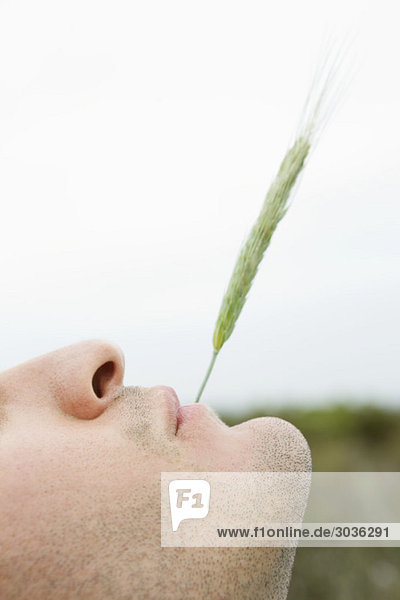 Ein Mann mit einem Weizenstiel im Mund.