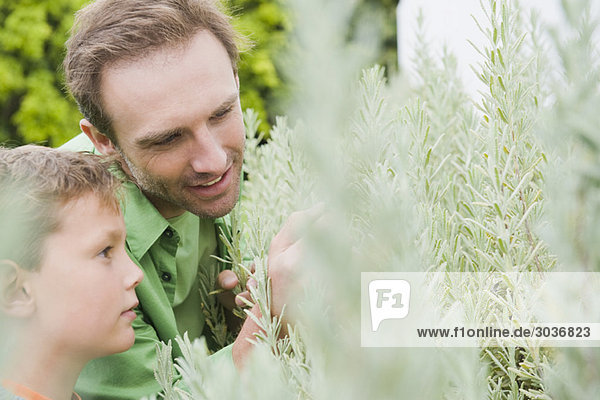 Man and his son examining plants