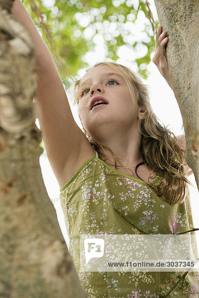 Mädchen klettert auf einen Baum