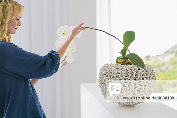 Woman looking at a houseplant