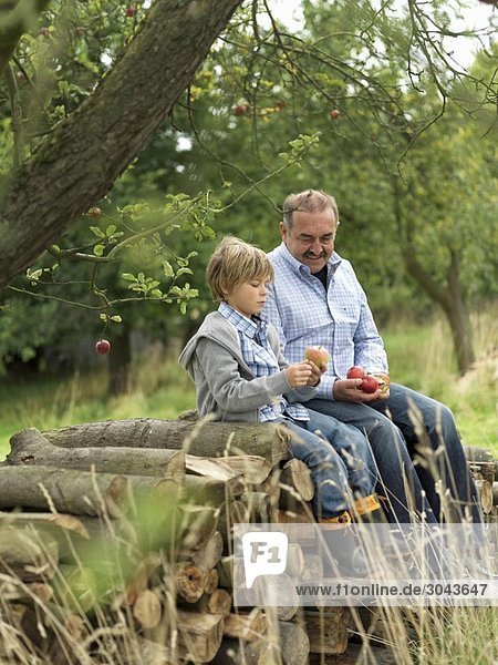 Man and boy with apples  sitting on logs