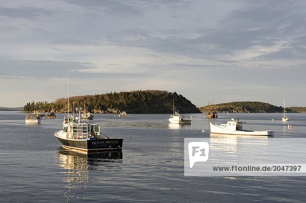 USA  Maine  Acadia-Nationalpark  Bar Hafen